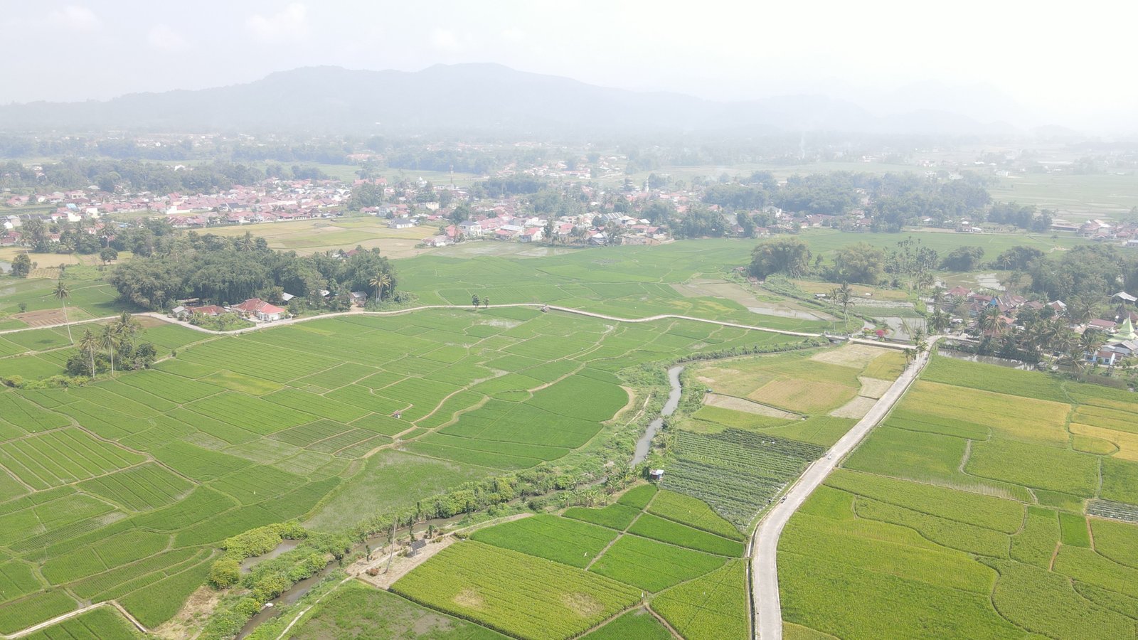 Kabut asap karhutla menyelimuti kawasan permukiman di Kalimantan